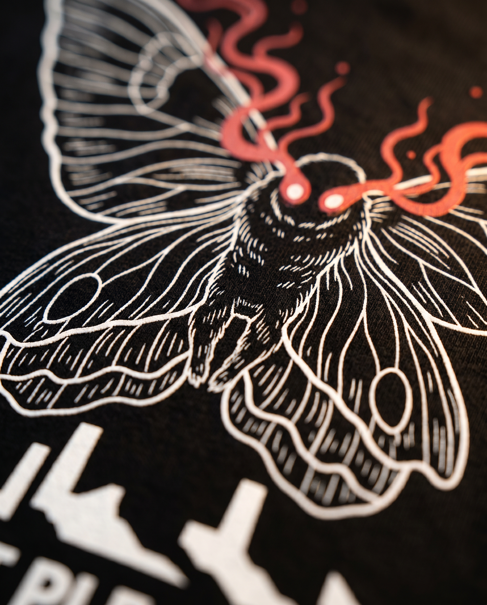 Mothman: Red Eyes Over Point Pleasant print detail